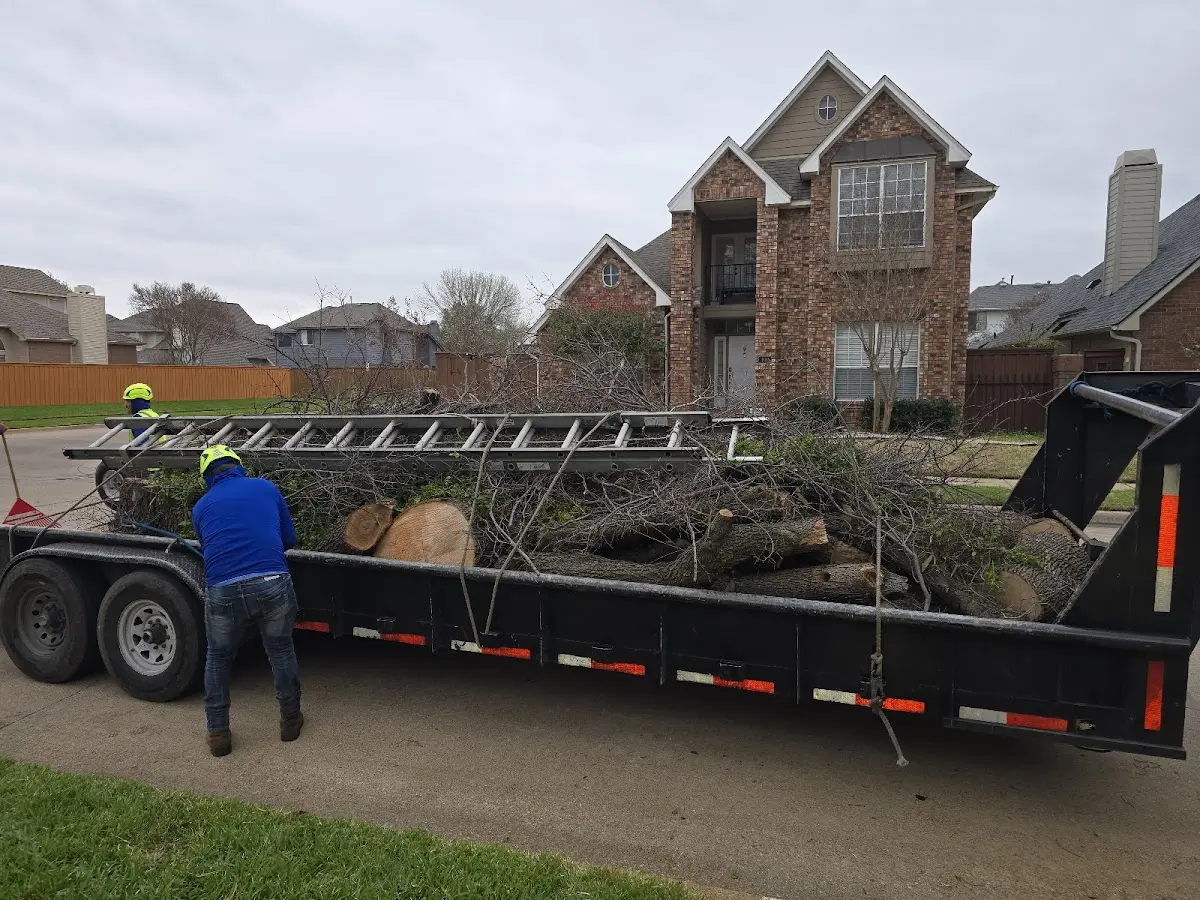 Expert Tree Fertilization with proper safety equipment in Saint George